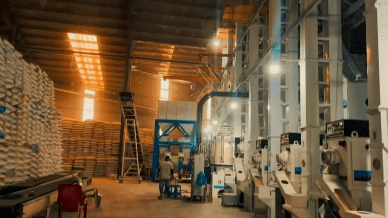BUILDING REPUTATION WITH HIGH-QUALITY VIETNAMESE RICE