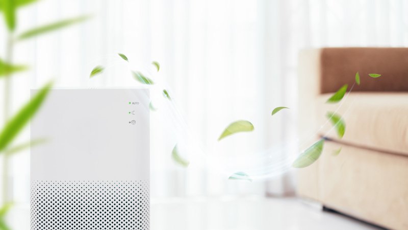 INDOOR AIR QUALITY (IAQ) SERVICES