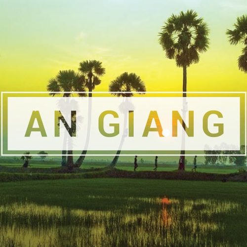 Detective Service In An Giang