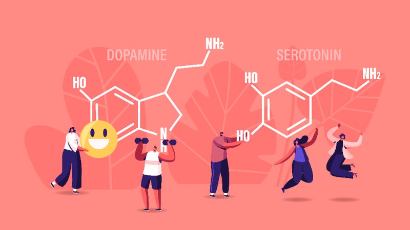 Serotonin: Chìa Khóa Cho Tâm Trạng và Sức Khỏe