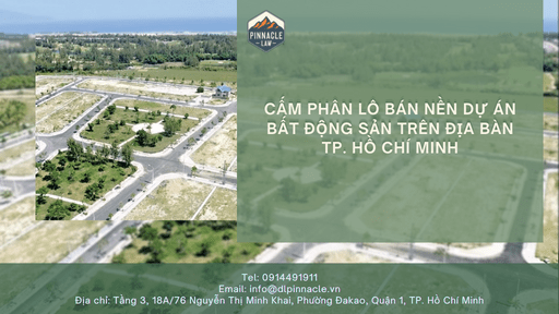 CẤM PHÂN LÔ BÁN NỀN