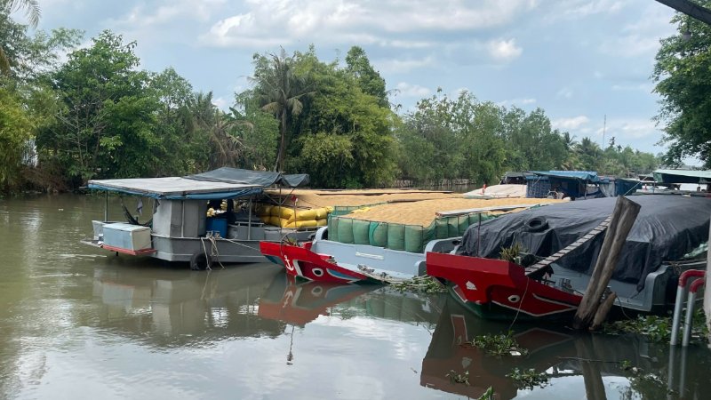 THE JOURNEY OF VIETNAM'S EXPORT-QUALITY RICE