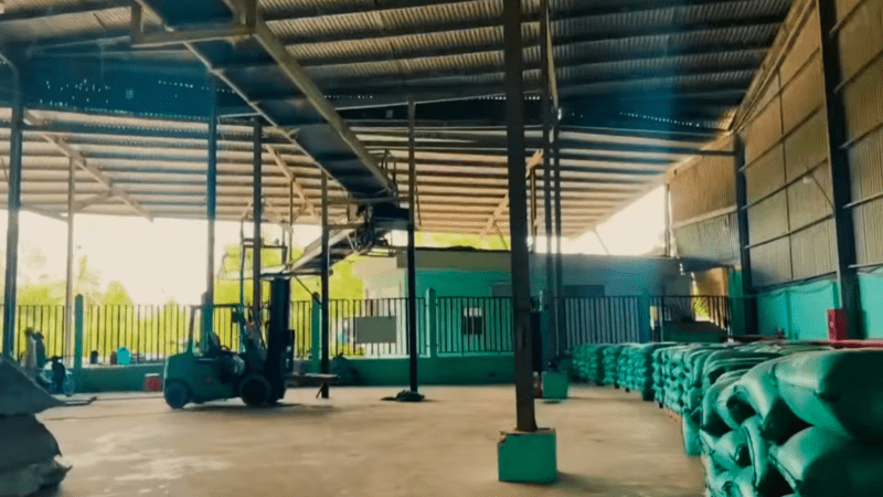 أرز نقي وآمن: التزام 789 GROUP بصحة المستهلك