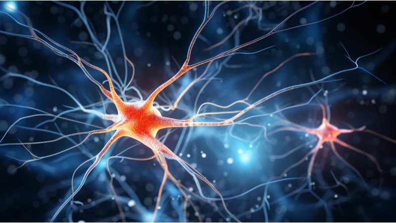 Giải Mã Endorphins: Chất Hóa Học Mang Đến Cảm Giác Thăng Hoa