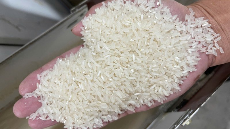 VIETNAMESE FRAGRANT RICE VS. OTHER VARIETIES